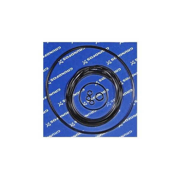 Pump Repair Kits- Kit, O-ring frame 46 D37168, Spare Part.